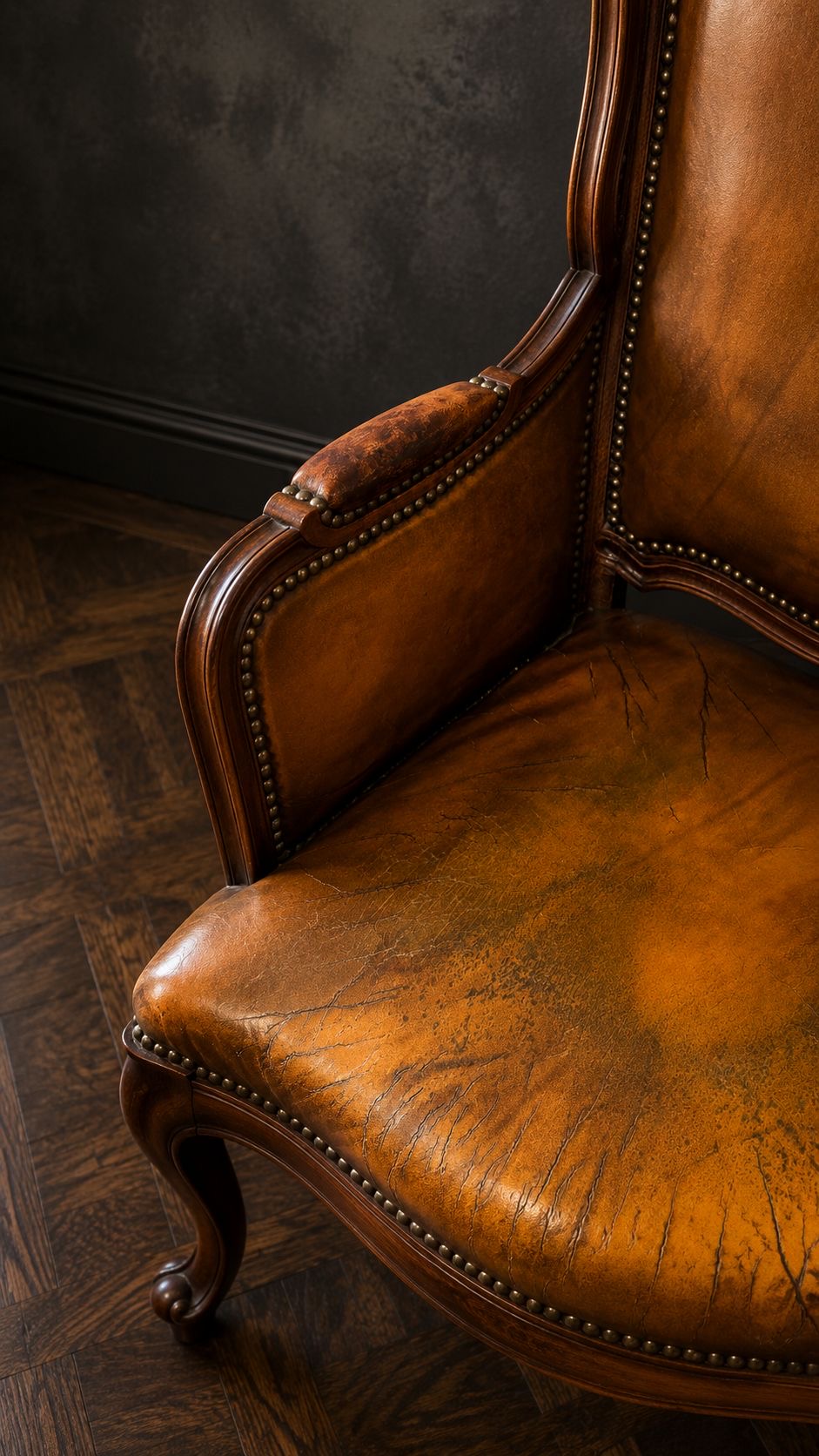 PAREJA SILLONES BERGÈRE FRANCESES EN PATINA COLOR MIEL - Imagen 6
