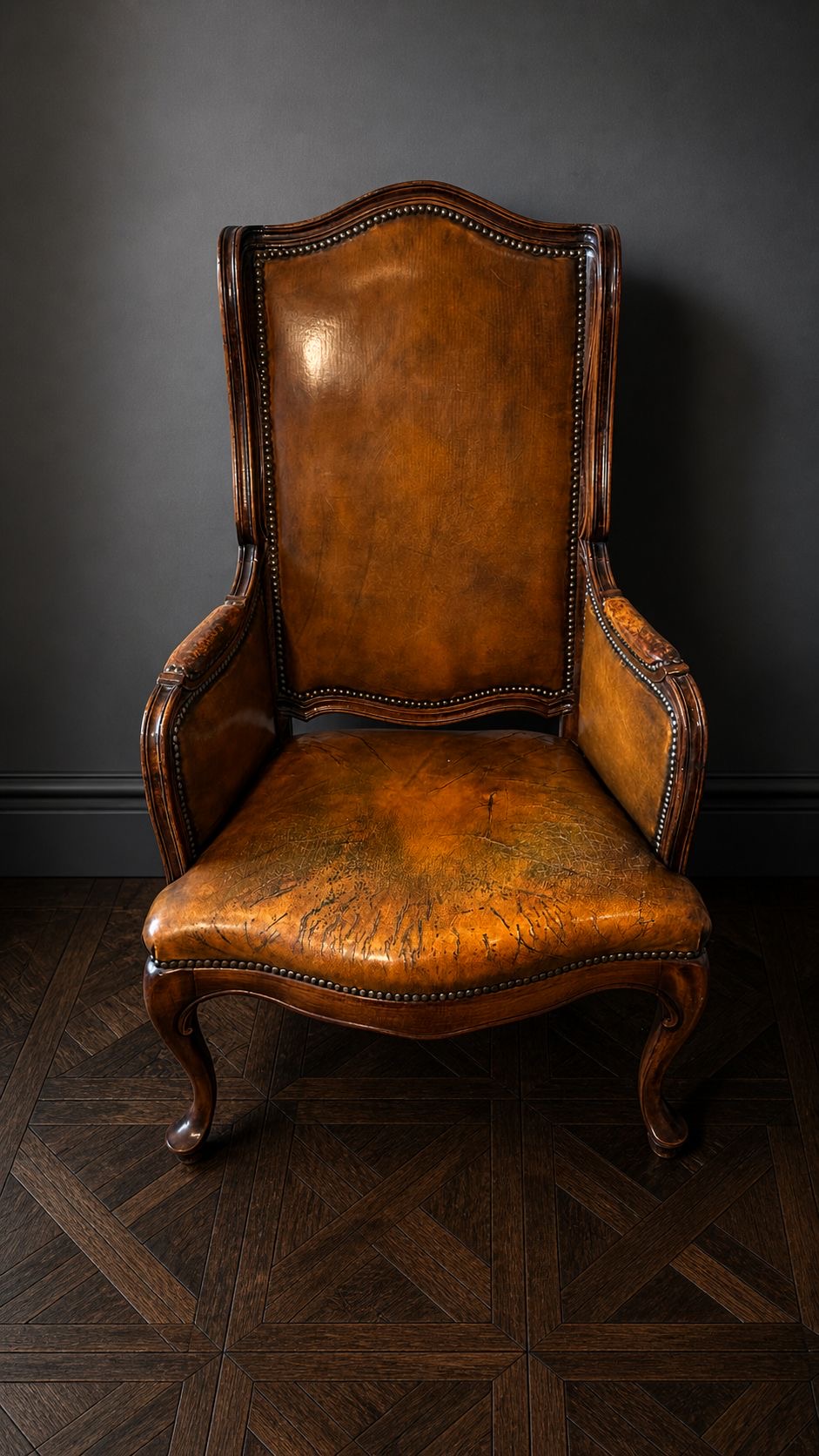 PAREJA SILLONES BERGÈRE FRANCESES EN PATINA COLOR MIEL - Imagen 5